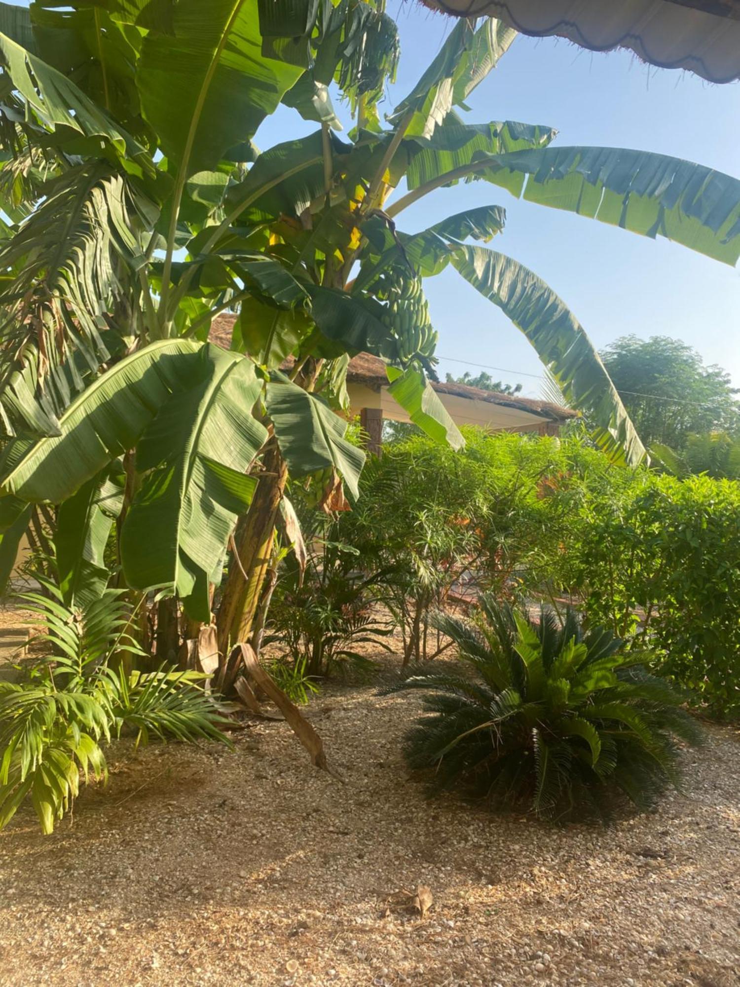 Villa Nemocotier Cap Skirring Exterior foto